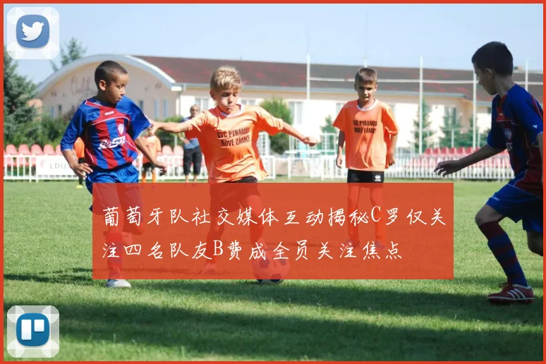 葡萄牙队社交媒体互动揭秘C罗仅关注四名队友B费成全员关注焦点