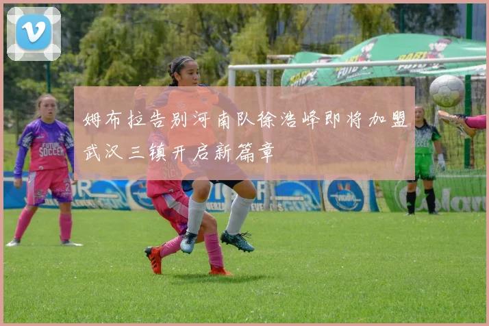 姆布拉告别河南队徐浩峰即将加盟武汉三镇开启新篇章